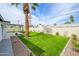 A well-manicured backyard with green grass, a statement palm tree, and a covered patio for outdoor enjoyment at 7346 E Mckinley St, Scottsdale, AZ 85257