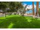 Beautiful front lawn with mature shade trees and lush landscaping at 7770 E Camelback Rd # 11, Scottsdale, AZ 85251