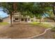 Expansive backyard featuring mature trees, a built-in grill, and a charming water fountain at 9665 E Nido Ave, Mesa, AZ 85209