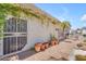 A backyard patio with stone floor and climbing vines on the walls at 11465 N 56Th St, Scottsdale, AZ 85254
