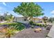 Expansive front yard boasting decorative rock landscaping, manicured artificial turf, and mature shade tree at 11465 N 56Th St, Scottsdale, AZ 85254