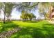 Expansive green lawn in the community park with mature trees and a playground, great for outdoor activities at 20121 N 76Th St # 2064, Scottsdale, AZ 85255