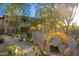 Lush landscaping with desert plants and flowers frames the walkway leading to the building at 20121 N 76Th St # 2064, Scottsdale, AZ 85255
