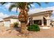 Well-maintained desert-landscaped front yard with a large palm tree at 2101 S Meridian Rd # 26, Apache Junction, AZ 85120