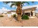 Well-maintained desert-landscaped front yard with a large palm tree at 2101 S Meridian Rd # 26, Apache Junction, AZ 85120