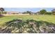 Expansive backyard with lush lawn and shade, perfect for recreational activities and outdoor enjoyment at 23455 S 199Th Pl, Queen Creek, AZ 85142
