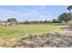 Lush green property with horse shelter, and plenty of space for animals at 23455 S 199Th Pl, Queen Creek, AZ 85142