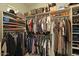 Spacious walk-in closet featuring custom shelving and ample hanging space for clothes and accessories at 23455 S 199Th Pl, Queen Creek, AZ 85142