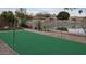Backyard green space with a lake view and a volleyball net for recreational activities at 2409 N 112Th Ln, Avondale, AZ 85392