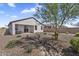 Backyard area featuring low-maintenance desert landscaping and a covered patio at 3309 E Malibu Dr, San Tan Valley, AZ 85143