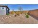 Backyard features low-maintenance desert landscaping with drought-tolerant plants, bushes, and a sturdy privacy wall at 3347 E Malibu Dr, San Tan Valley, AZ 85143