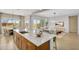 Open concept kitchen with a large island, stainless steel appliances, and a view into the living area at 3347 E Malibu Dr, San Tan Valley, AZ 85143