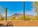 Mountain view with a Saguaro Cactus beyond a block fence at 5414 E Palo Brea Ln, Cave Creek, AZ 85331