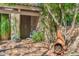 Charming entryway with a wood door, terra cotta tiles, and lush desert landscaping at 6301 N Camelback Manor Dr, Paradise Valley, AZ 85253