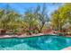 Sparkling pool with brick trim, serene landscaping, and outdoor lounge chairs creates a perfect backyard retreat at 6301 N Camelback Manor Dr, Paradise Valley, AZ 85253