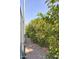 Gravel path lined with mature, fruit-bearing orange trees under a clear blue sky at 7630 E Vaquero Dr, Scottsdale, AZ 85258