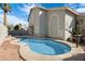 Sparkling pool in backyard is surrounded by lush landscaping, palm trees, and a basketball hoop at 1248 E Briarwood Ter, Phoenix, AZ 85048