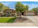 Beautiful single-story home with a well-manicured lawn, mature tree, and a two car garage at 18543 E Purple Sage Dr, Queen Creek, AZ 85142