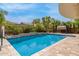 Gorgeous pool with a basketball hoop, surrounded by lush landscaping and stone tiling at 18543 E Purple Sage Dr, Queen Creek, AZ 85142