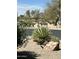 Tranquil desert landscaping with gravel, mature agave, and a boulder with a path leading to the neighborhood perimeter fence at 289 W Ironhorse Ln, San Tan Valley, AZ 85143