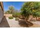 Private backyard featuring gravel, block wall, and mature landscaping at 4176 E Bonanza Rd, Gilbert, AZ 85297