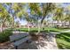 Park view with mature trees, benches, green landscape and walking path at 4176 E Bonanza Rd, Gilbert, AZ 85297