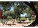 Beautiful desert landscaping in a community courtyard with mature cacti and flowering bushes at 4303 E Cactus S Rd # 329, Phoenix, AZ 85032