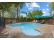 Private backyard oasis boasts a sparkling pool, lounge chairs, and mature landscaping for serene enjoyment at 601 E Winter Dr, Phoenix, AZ 85020