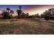 Expansive backyard featuring a large lawn area, mature trees, and potential for outdoor activities at 8755 E Gary Rd, Scottsdale, AZ 85260