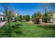 Well-maintained common lawn area with mature trees and landscaping in a desirable community, perfect for recreation and relaxation at 15015 N 142Nd Ln, Surprise, AZ 85379