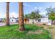 Charming single-story home with a well-maintained lawn, mature palm trees, and rock accents at 4333 N 15Th Dr, Phoenix, AZ 85015