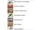 Selection of bird species including hummingbird, cardinal, dove, grackle, phoebe, robin, mockingbird, sparrow, finch, and verdin at 5124 N 31St Pl # 512, Phoenix, AZ 85016