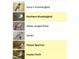 Compilation of bird species including hummingbirds, mockingbirds, doves, verdin, sparrows, and finches at 5124 N 31St Pl # 512, Phoenix, AZ 85016