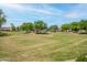 Expansive green space in a Gathering-friendly neighborhood, featuring mature trees and playground at 4287 E Tyson St, Gilbert, AZ 85295