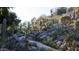 Lush desert landscape garden with winding pathways and a variety of cacti and succulents at 4849 N Camelback Ridge Rd # A309, Scottsdale, AZ 85251