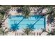 Aerial view of a sparkling swimming pool surrounded by palm trees and lounge chairs at 4849 N Camelback Ridge Rd # A309, Scottsdale, AZ 85251