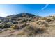 Backyard view showcasing natural desert vegetation, boulders and mountain view homes at 11130 E Rolling Rock Dr, Scottsdale, AZ 85262