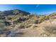Backyard view showcasing natural desert vegetation, boulders and mountain view homes at 11130 E Rolling Rock Dr, Scottsdale, AZ 85262