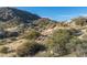 Desert landscape featuring native cacti and rocky terrain against a mountain backdrop at 11130 E Rolling Rock Dr, Scottsdale, AZ 85262