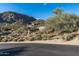Desert street with native vegetation provides privacy and tranquility, enhancing the natural setting of the neighborhood at 11130 E Rolling Rock Dr, Scottsdale, AZ 85262
