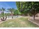 Expansive backyard with lush lawn, pool area, and mature trees providing shade at 15962 W Statler St, Surprise, AZ 85374