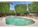 Inviting backyard pool with mature privacy landscaping and peaceful waterfall at 15962 W Statler St, Surprise, AZ 85374