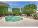 Beautiful backyard pool area with lush landscaping, mature trees, waterfall feature at 15962 W Statler St, Surprise, AZ 85374
