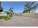 A spacious backyard with decorative gravel, palm trees, and a block wall for privacy at 17514 N Rainbow Cir, Surprise, AZ 85374