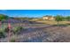 Well-maintained common area with mature trees, lush landscaping, and walking paths at 18233 W Hope Dr, Goodyear, AZ 85338