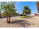 Large backyard featuring artificial turf, picnic tables, gravel, and mature trees at 19258 N 20Th Dr, Phoenix, AZ 85027