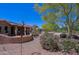 Beautifully landscaped backyard features lush plants, mature trees, and an attractive desert-style garden at 3147 N Couples Dr, Goodyear, AZ 85395