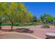 A lush neighborhood park offers a peaceful setting with mature trees and walking paths at 3147 N Couples Dr, Goodyear, AZ 85395