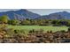 Picturesque desert golf course with mountains in the background on a sunny day at 9620 E Roadrunner Dr, Scottsdale, AZ 85262