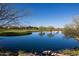 Scenic view of a community pond surrounded by lush landscaping and residences at 9620 E Roadrunner Dr, Scottsdale, AZ 85262